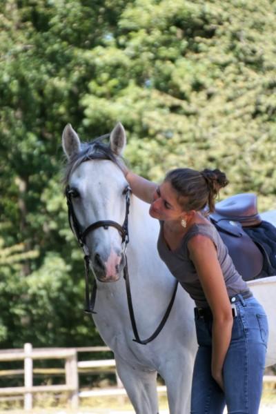 stage équitation stage équitation