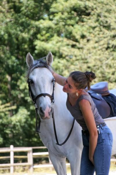 stage équitation