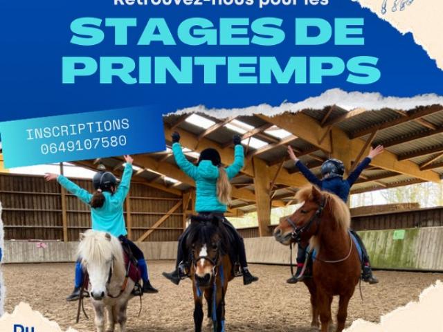 Les stages de printemps pour découvrir l'équitation sous le soleil !