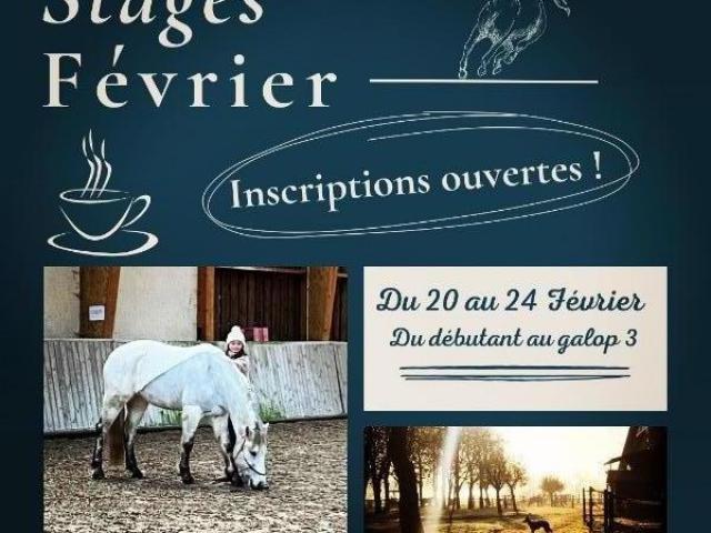 Vacances de Février : Profitez d'un stage découverte de l'équitation ! 