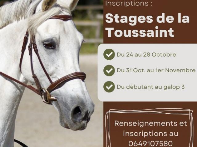 Ouvertures des inscriptions pour les stages de la Toussaint !