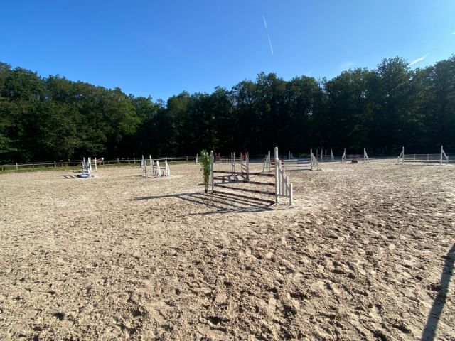 Des installations pensées pour le confort des chevaux et la progression des cavaliers