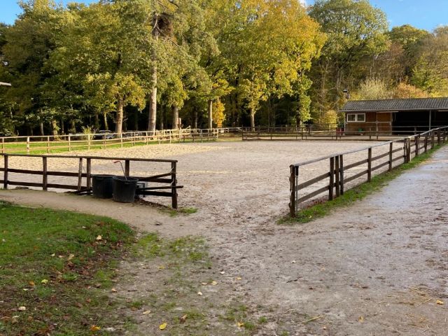 Des installations pensées pour le confort des chevaux et la progression des cavaliers