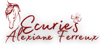 logo de l'écurie Alexiane Ferreux à Chuisnes